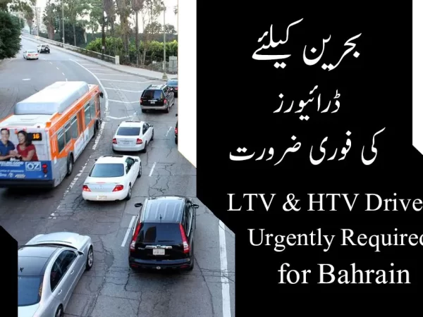 BAHRAIN LTV AND HTV DRIVERS JOBS