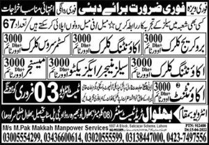 Clerk Accounttant & Sales Manager Jobs in Dubai
