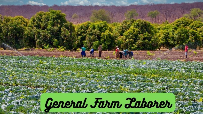 General Farm Laborer Vacancies in Canada